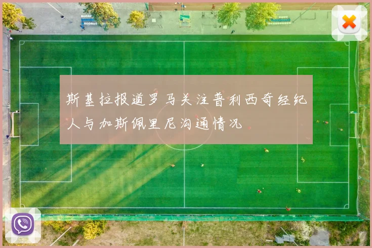 斯基拉报道罗马关注普利西奇经纪人与加斯佩里尼沟通情况